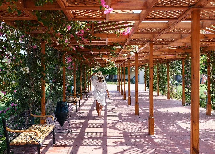 Desert Rose Hurgada, Mısır